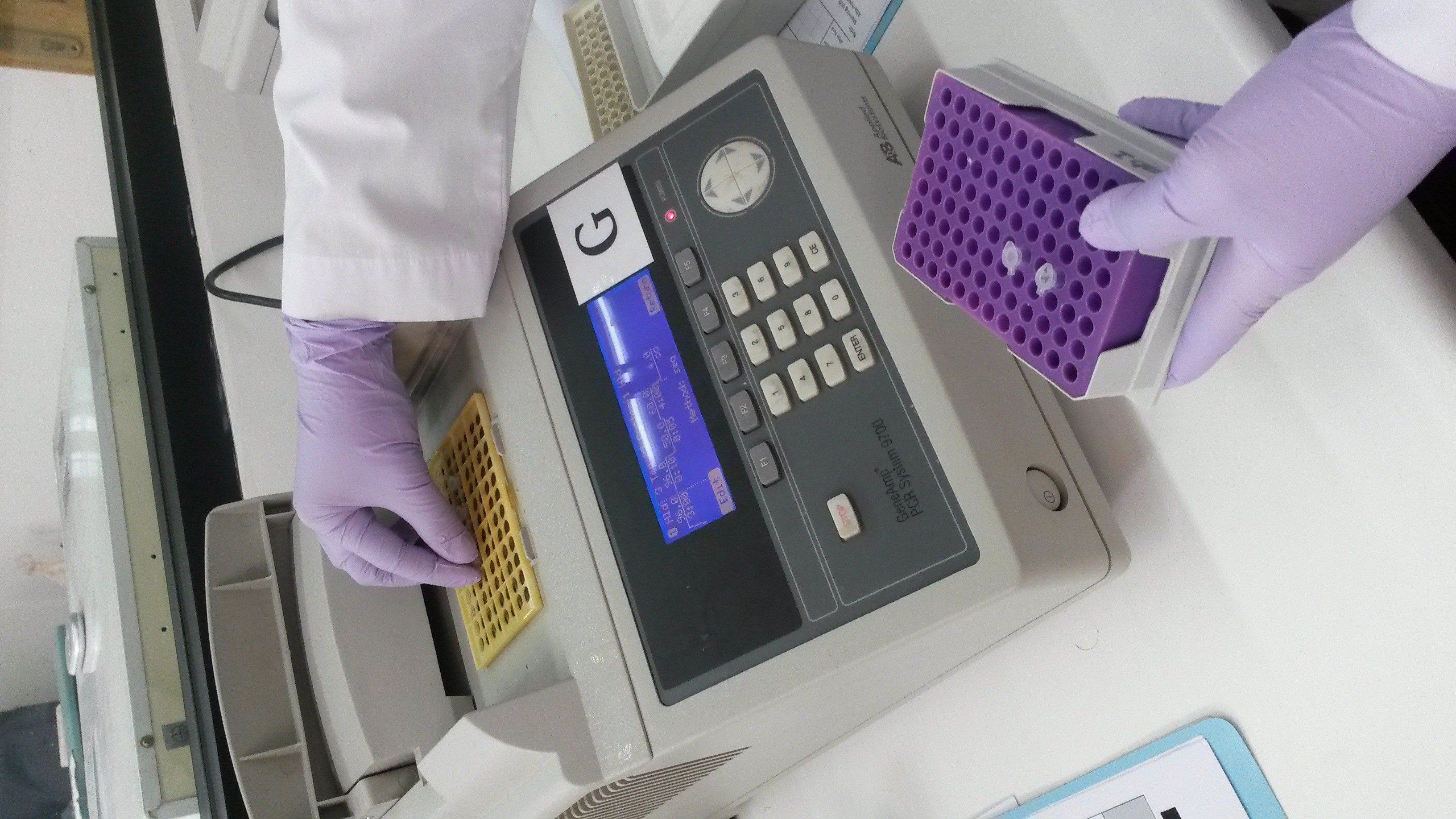 Kỹ thuật xét nghiệm PCR đóng vai trò quan trọng trong lĩnh vực y học