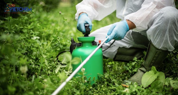 Natri clorat được dùng làm thuốc diệt cỏ không chọn lọc