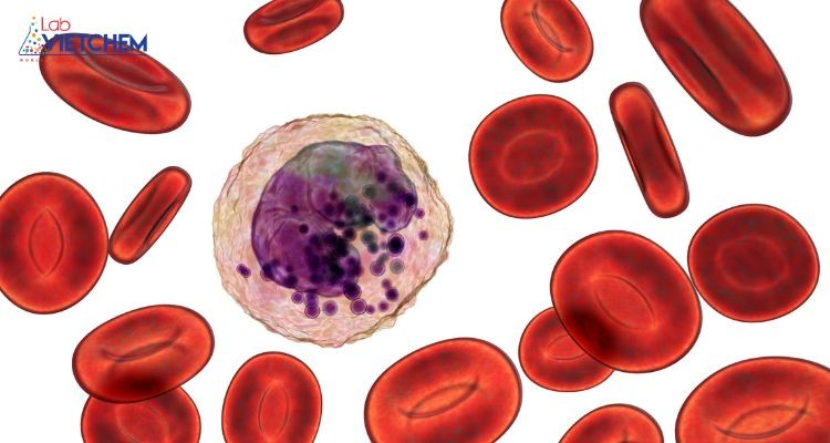 NaClO3 gây biến đổi hồng cầu 