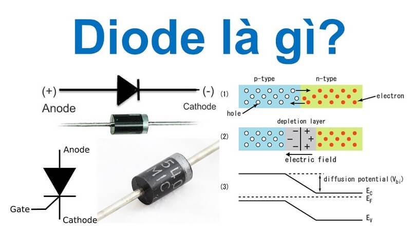 diot là gì?