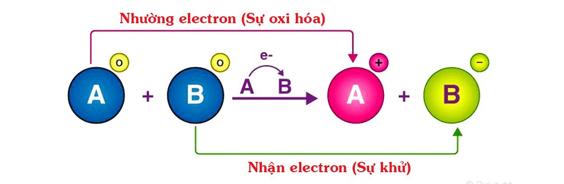 Chất khử và chất oxi hóa