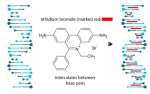 ethidium-bromide-1-small