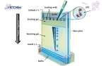 Phương pháp Western Blot | Quy trình, Ứng dụng trong sinh học phân tử